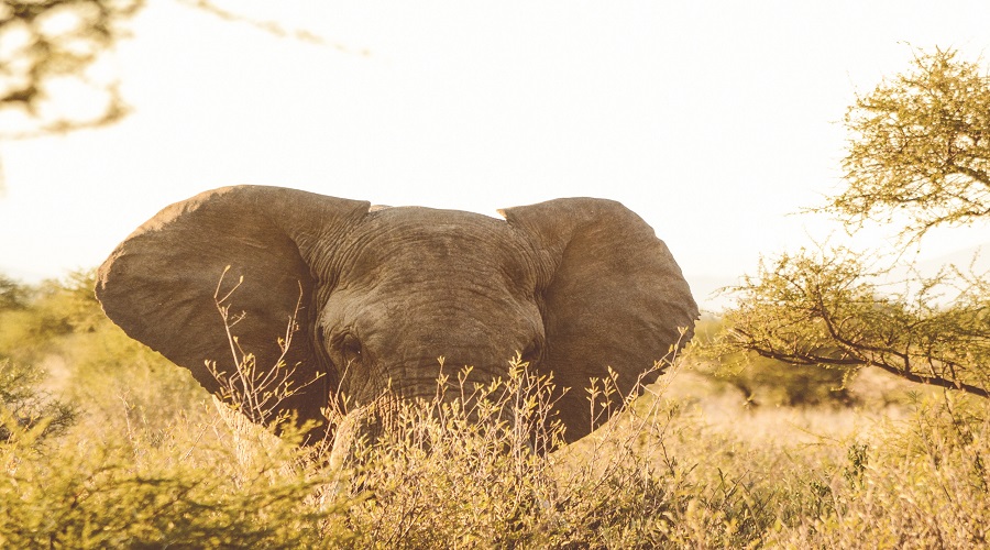 Serengeti National Park