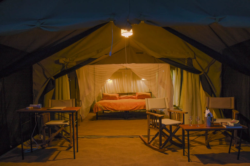 camp at night