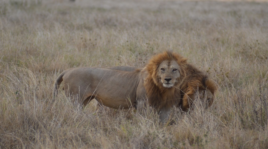 Lake Manyara National Park