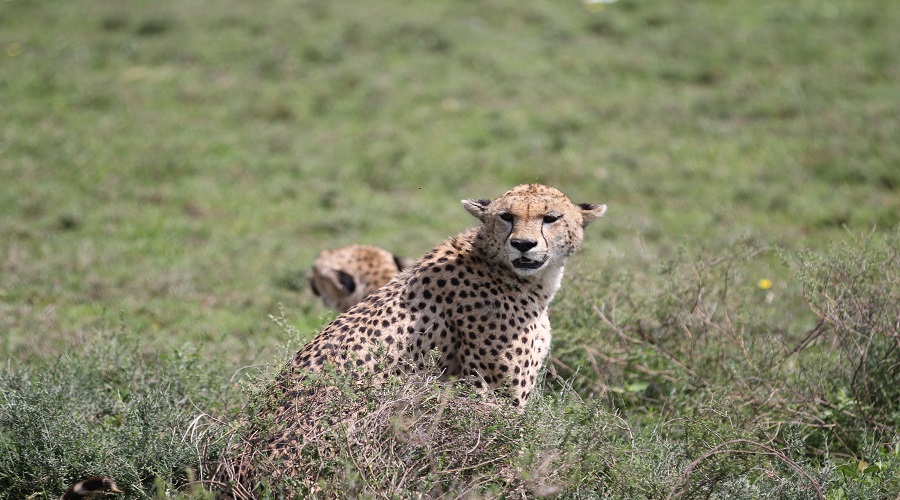 Lake Manyara National Park