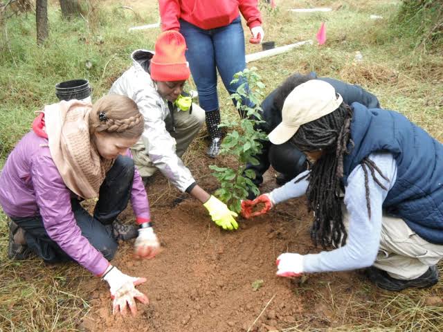 Conservation in Tanzania