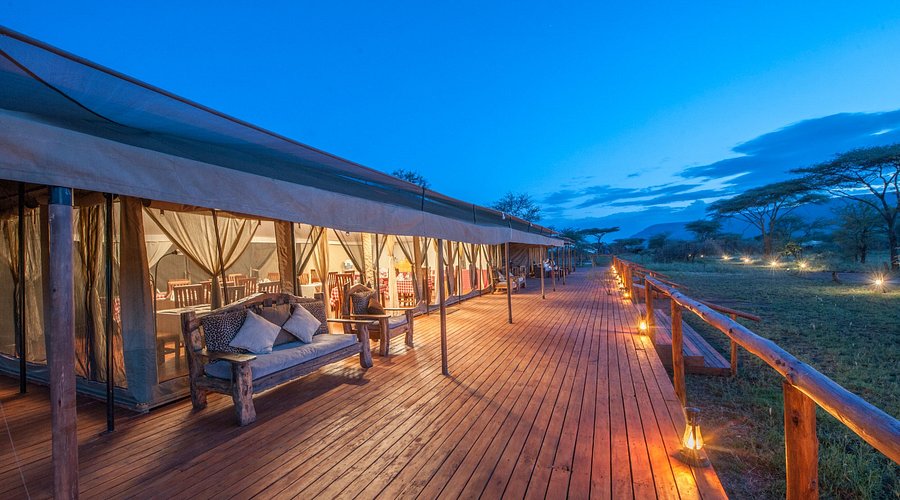 Serengeti Acacia Tented Camp