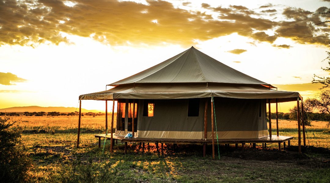 Simple budget tented camp under acacia tree in Serengeti