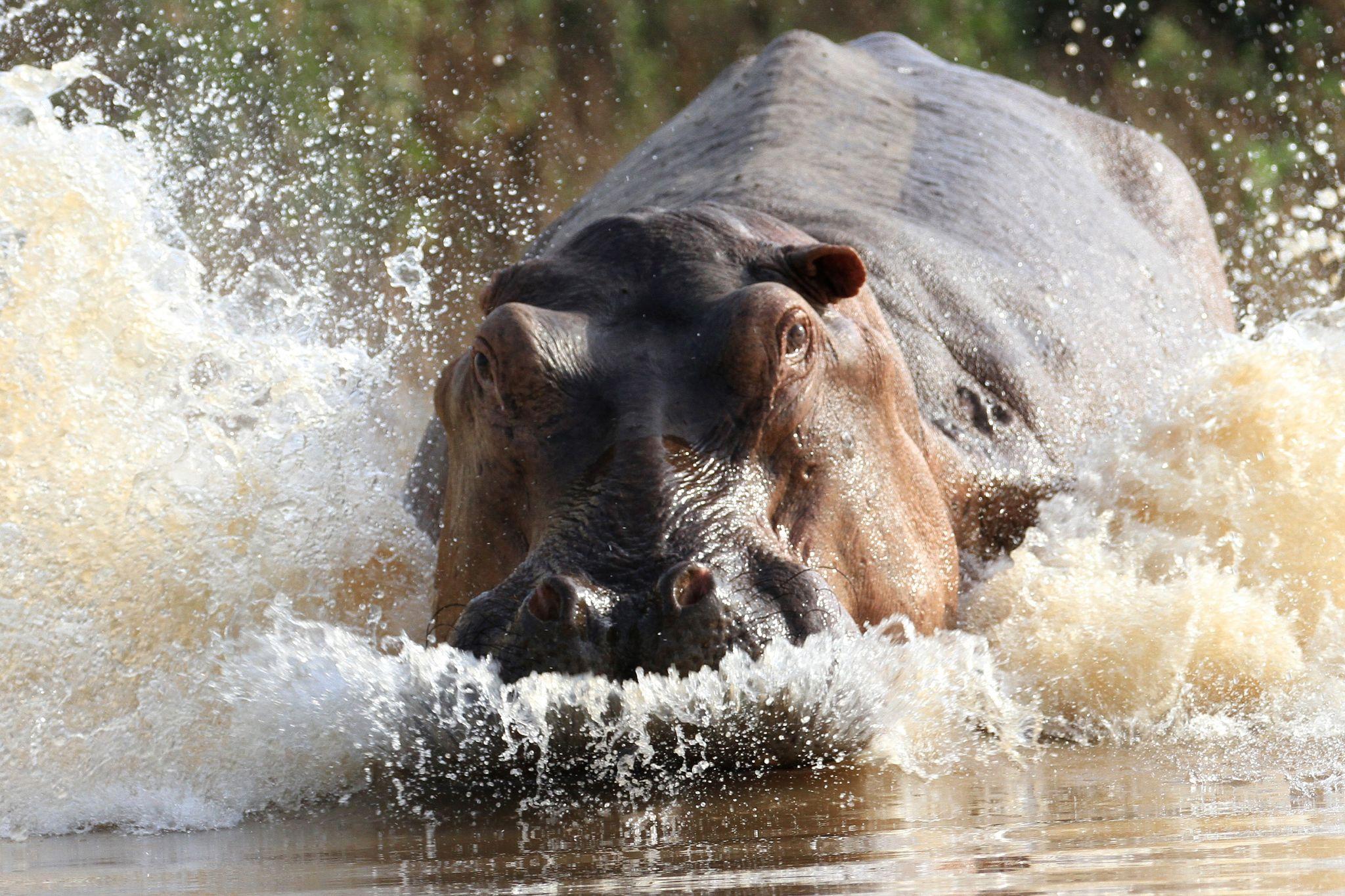 5 Days Tanzania Luxury Safari - High End version for 2026/2027