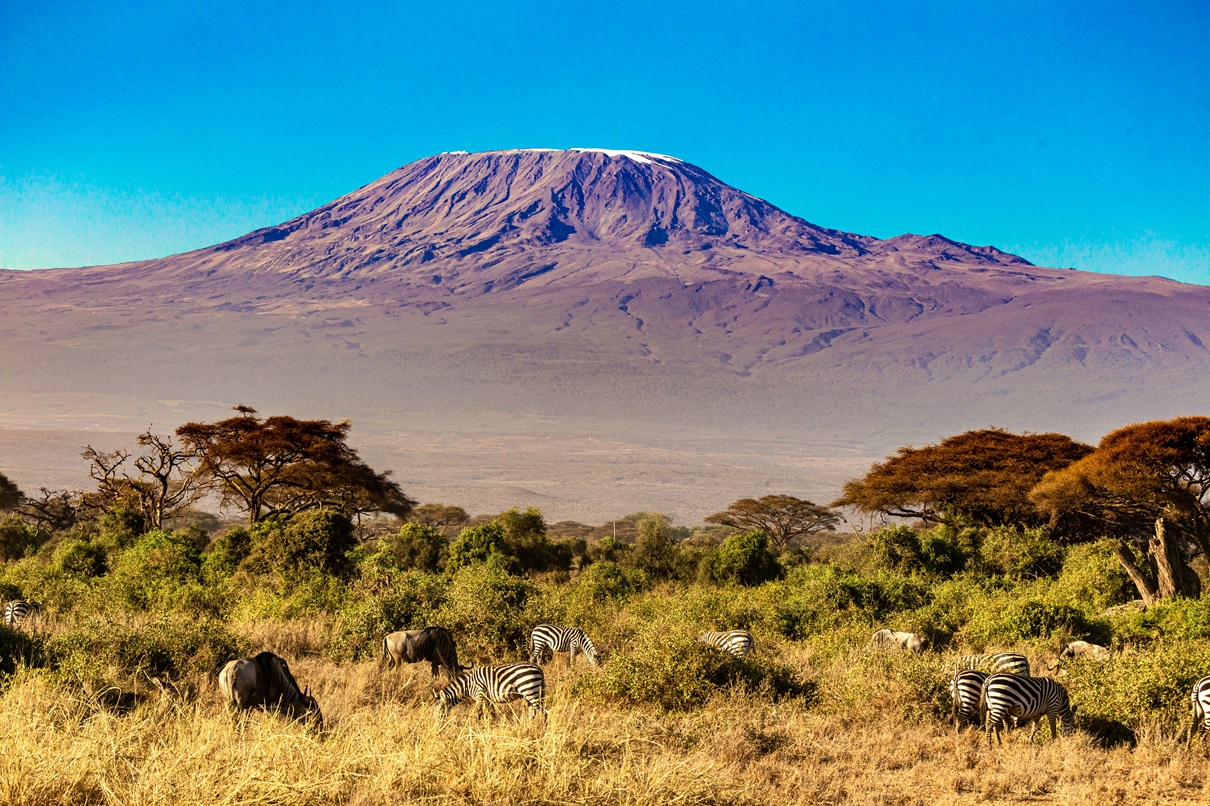 Celebrate New Year on Mount Kilimanjaro 2026–2027 Adventure Trek