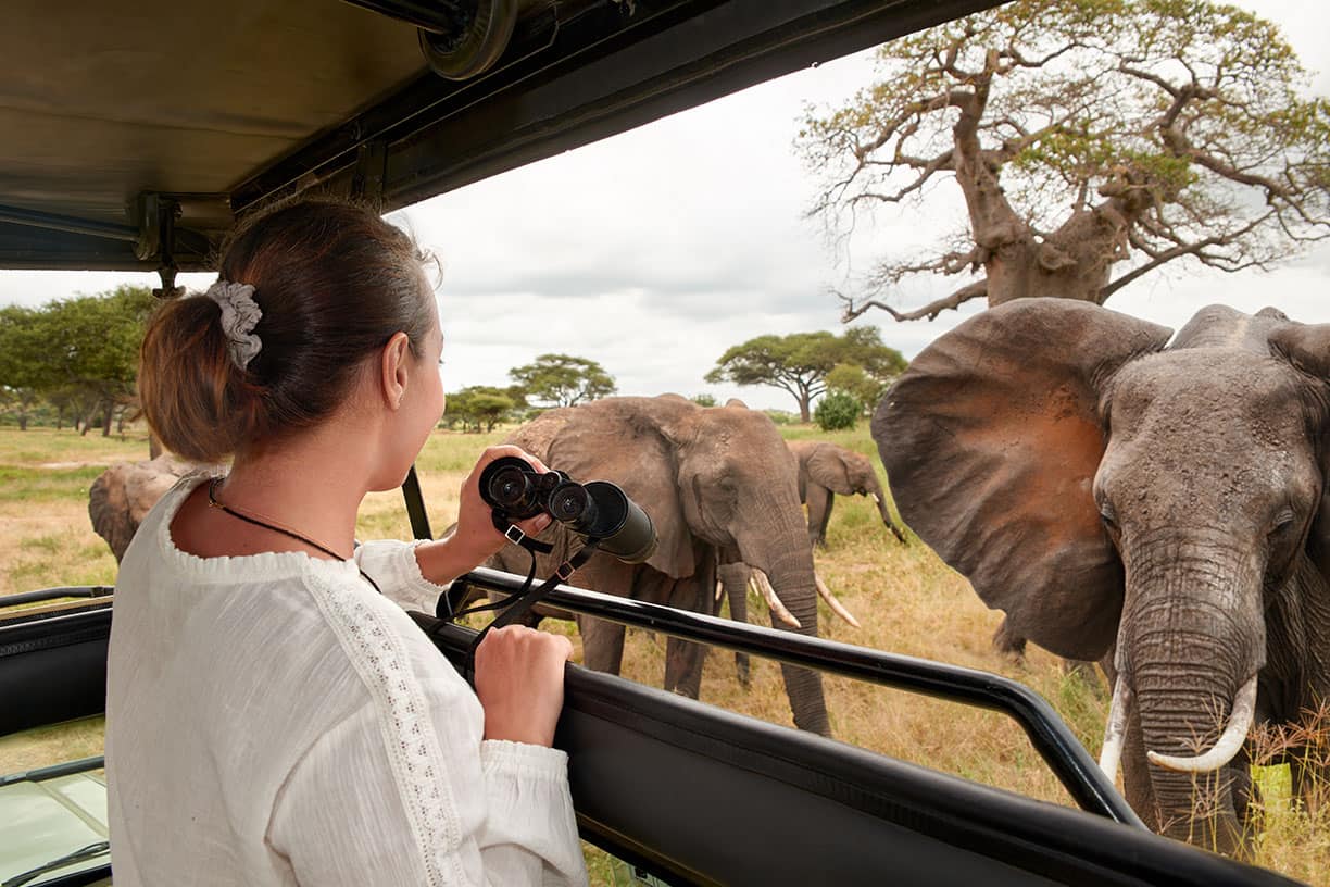 How Many Days Do You Need for a Safari in Tanzania?