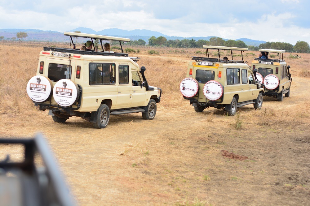 Tanzania Group Joining Safaris 2026–2027