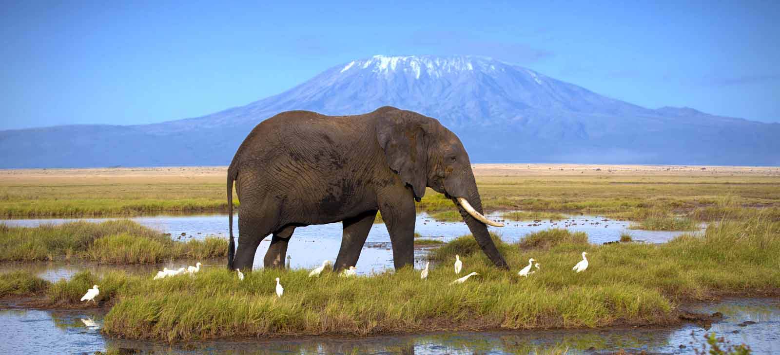 Ultimate 10 Day High-End Luxury Kenya Safari Itinerary